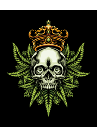 Streetwear Rusti – Pack de vectores urbanos